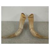 Pair of horns