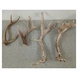 2 sets of antlers