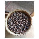 Bushel basket of pecans