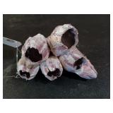 Really neat seashell 7"