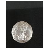 2015 American silver eagle dollar coin