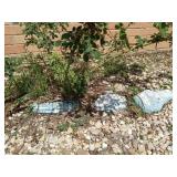 Rosin flower bed alligator