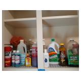 Laundry room cabinet contents: cleaners, goof