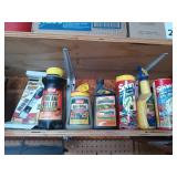 Bottom shelf contents: carpet cleaner, wasp and