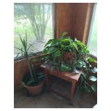 2 houseplants, plant stands