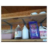 Right wall bottom shelf contents: planters,