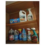 Cabinet contents: car polish, cleaners, floor