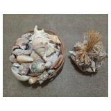Really cool seashell collection