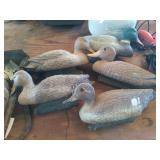 5 plastic duck decoys