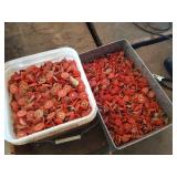 Large amount of cap nails