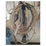 Asst ropes