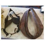 Leather blinders and horse collar