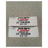 40 rds 22-250 Rem 55 gr PSP
