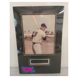 Ted Williams matted portrait 17x11.5 ready for a