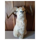 Ram mount 21.75" spread