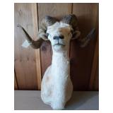 Ram mount 21.5" spread, has a couple damage spots