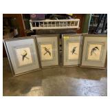 Hand colored bird prints of 1870