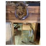 Boar mount  22 inches tall 22 inches deep