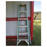 Werner 6 ft fiberglass ladder