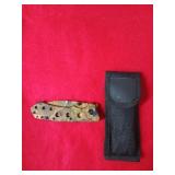 Folding pocket knife in sheath