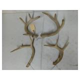 2 sets of antlers