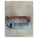 20 rds 22-250 REM 55 gr PSP