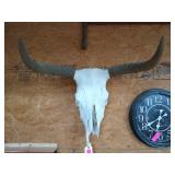 Longhorn skull 24"