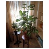 Two plant stands and two fake plants. One plant