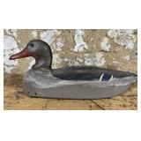 Duck Decoy
