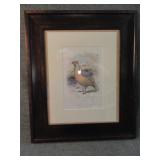 Original 1870 Antique Print Sanguine Francolin