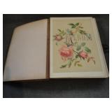 Antique Photo Album w/ Cabinet Cards & CDV's
