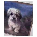 Cairn Terrier - Sheep  Dog ? - Picture