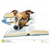 Read all notices and terms