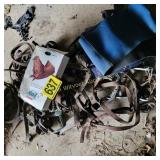 Horse Tack