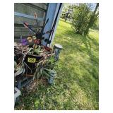 Plants and Flower Pots