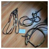 Reins