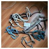Horse Tack
