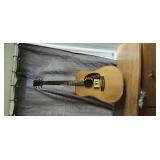 Johnson Guitar