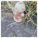 Flower Garden Hydrant