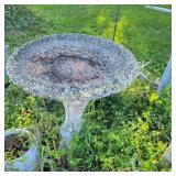 Bird Bath