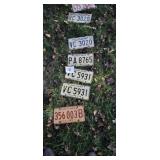 License Plates