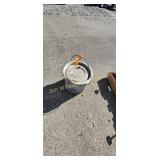 Minnow Bucket
