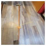 Walking Stick