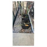 Flower Pots