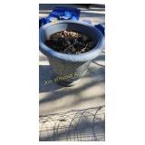 Flower Pot