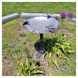 Bird Bath