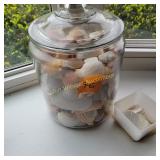 Shells, in Glass Jar