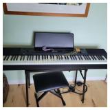 Privia Electric Piano  works