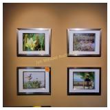 4 Pictures