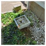 Planter